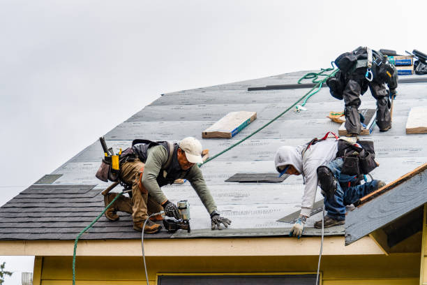Professional Storm Damage Roof Repair technician working in Powells Point, NC